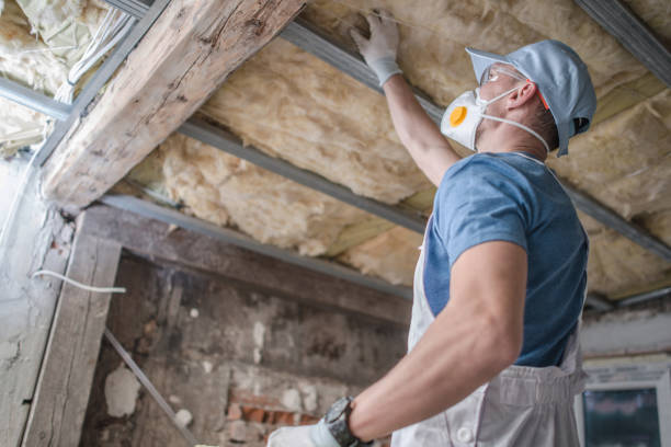 Best Insulation Maintenance and Repair in Spotswood, NJ